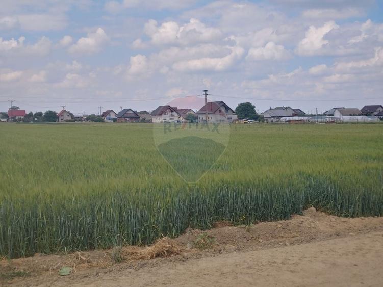 Teren intravilan 6,600mp Dumbraveni / Strada Principala spre Veresti - 12