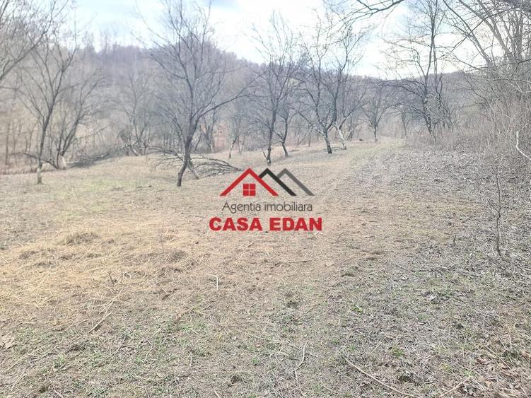 Teren extravilan in Provita--3448mp-12.000e - 9