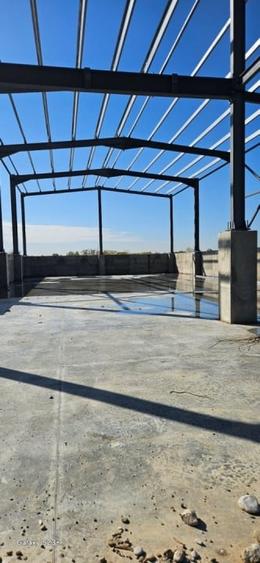 De vanzare | 6 hale x 600 mp | Afumati - 4