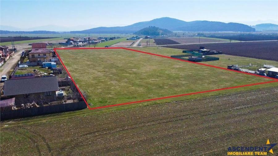 FILM! Domeniu urban, 18.200mp, cu planuri validate, Bod, Brasov - 3