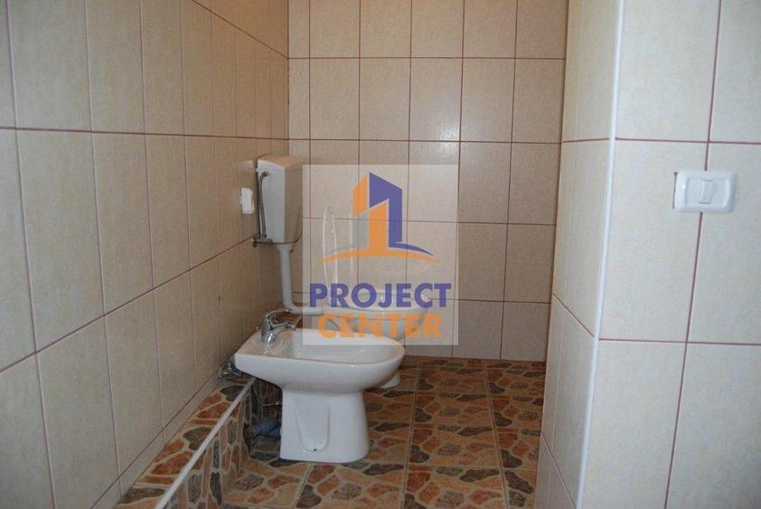 Vila 8 camere, lac, crama, 1600 mp teren, Vedea - 7