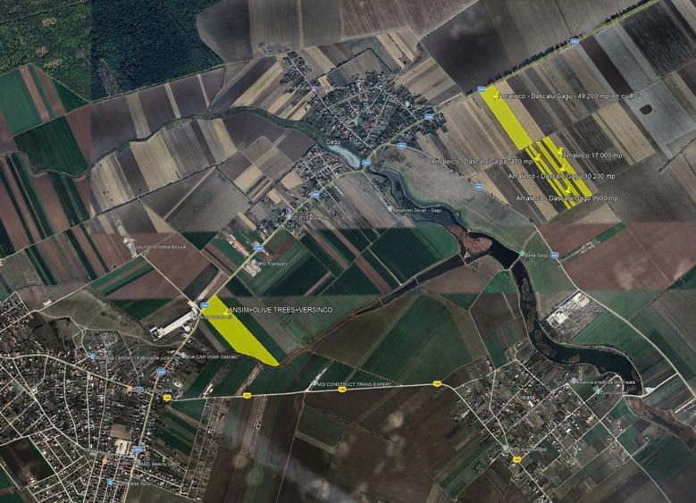 TEREN DASCALU-RESILUX-A0/A3 DEZVOLTARE LOGISTICA - 1