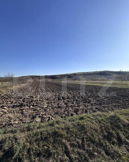 Teren intravilan 5.800 mp, poten?ial de parcelare-construc? - 1