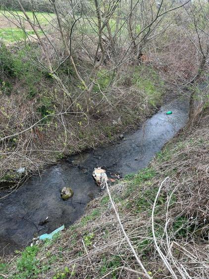 Vand teren extravilan in Pestisu mare - 3