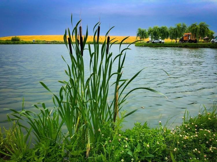 Proprietate exclusivista ideala ca proiect pentru investitie!! - 6