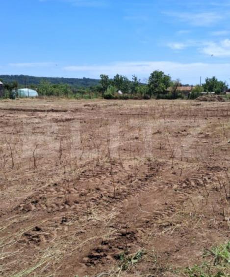 Teren intravilan 2.531 mp | Dubla deschidere la 2 strazi | - 4