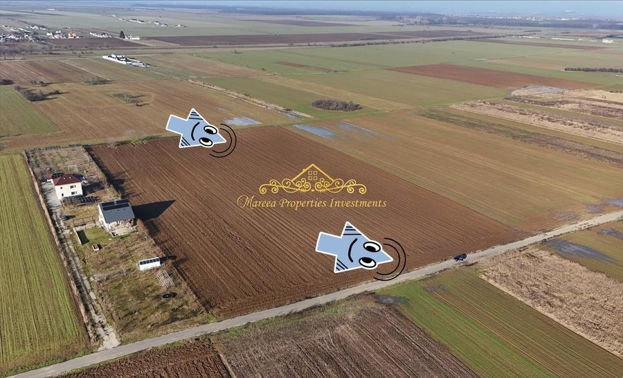 Teren intravilan case 10.000 mp, Str Sportului, Ulmi - 2