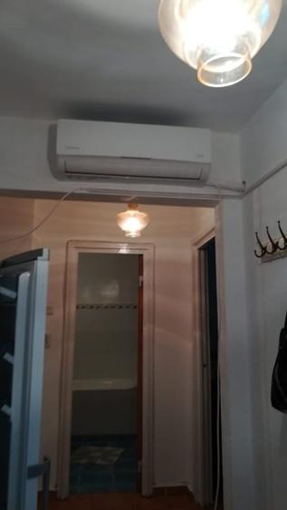 Drumul Taberei - Favorit-  Pet Friendly - 3