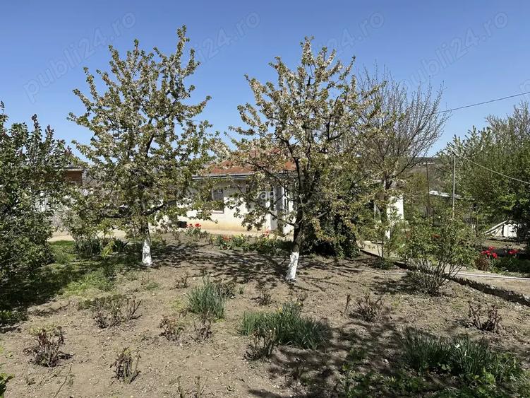 Casa cu 3 camere Zaicesti