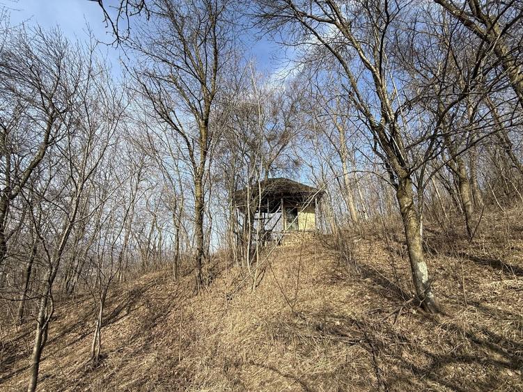 Teren intravilan 2788 mp deschidere 55 ml cu vedere panoramica ! - 17