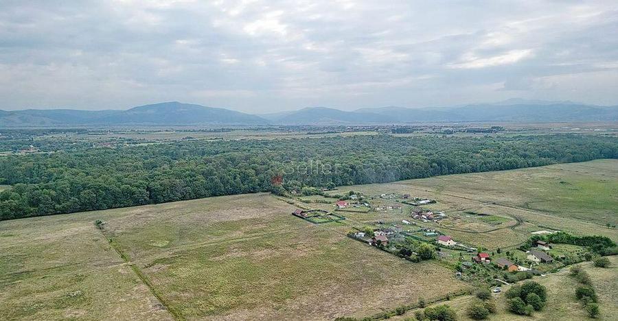 Teren Extravilan - 15