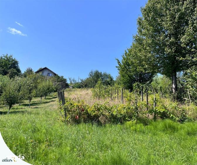 Teren intravilan - 1.248 mp + casa batraneasca 60 mp | Paun Barnova | - 1