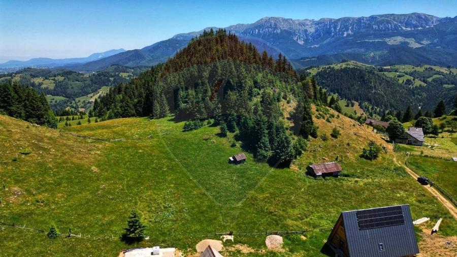 Teren de 7830mp de vanzare in Fundata! Comision 0% - 4