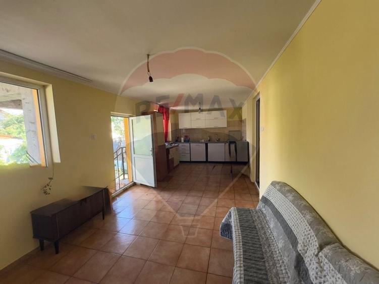 Casă / Vilă cu 5 camere de vânzare în zona Romanesti - 3