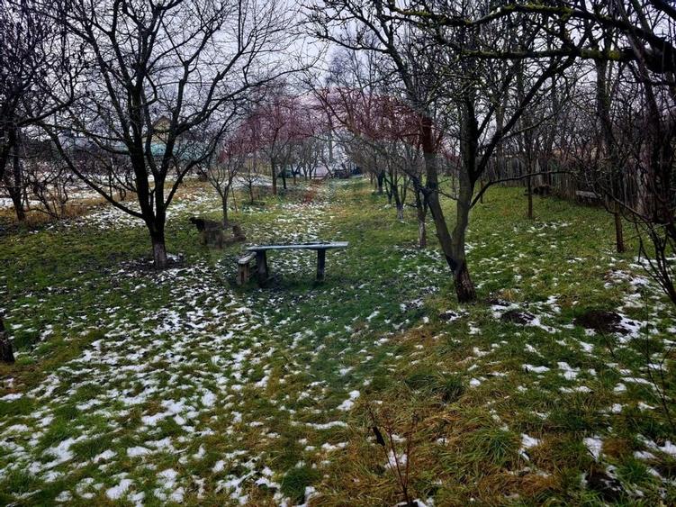 Teren intravilan 4,516mp Doina - 35