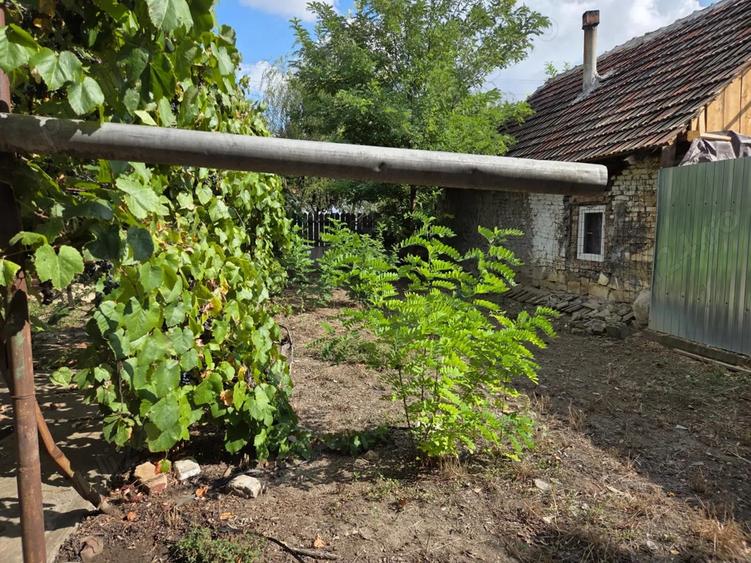 Casa de vanzare? Tomnatic Jud Timi?. - 3