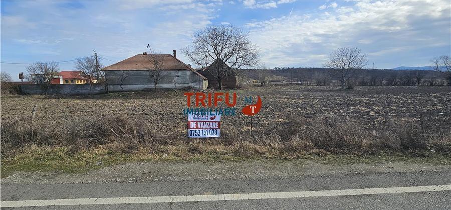 Teren Construcții intravilan de 8932 mp, în Șibot