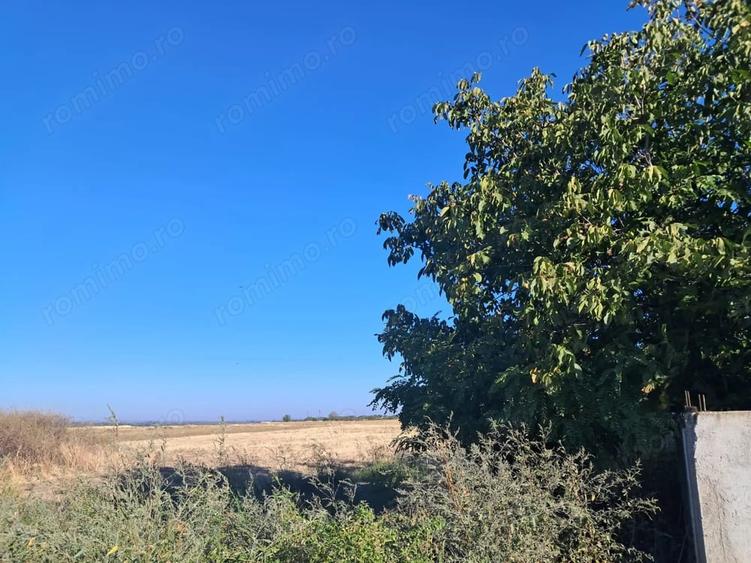 Teren de 4600 mp, în Stejaru
