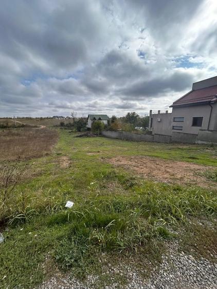 Spațiu comercial, în Pasărea