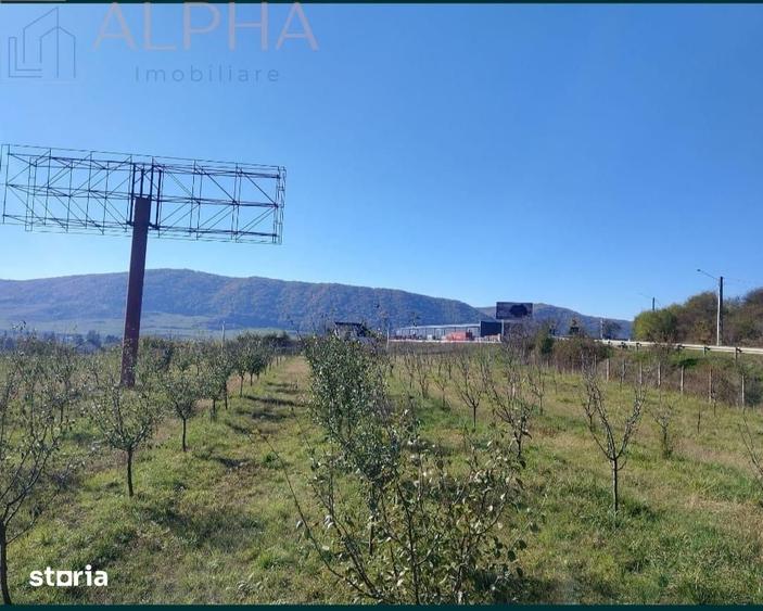 Teren de 12300 mp, în Șcheia