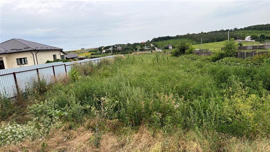 Teren Construcții intravilan de 3000 mp, în Movileni