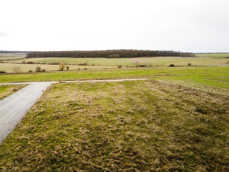 RECO Teren intravilan langa padure 500 mp cu PUZ -Sanmartin - 6