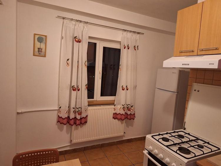 Inchiriere apartament 2 camere Rahova - 3