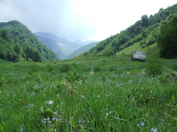 Raul Mare Retezat, spre statiunea de schi Rausor, Judetul Hunedoara - 3