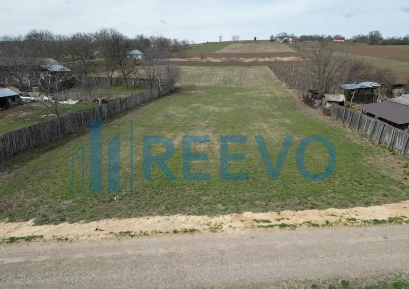 Teren de vanzare, Sat Bazga, Com. Horge?ti, Bacau - 10