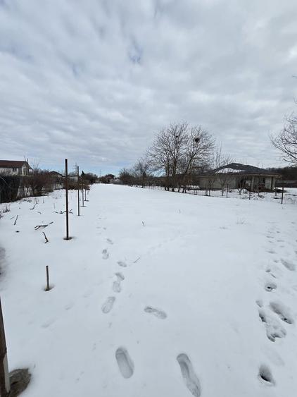 Teren de vanzare in Cornetu - 6