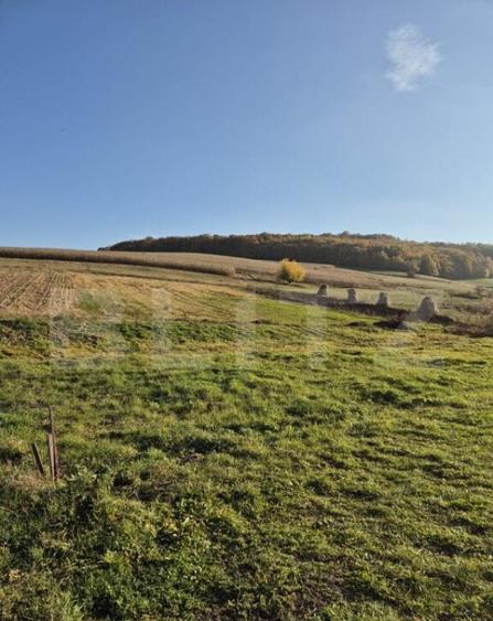 Proprietate de vanzare in Bardesti cu 1900 mp teren - 9
