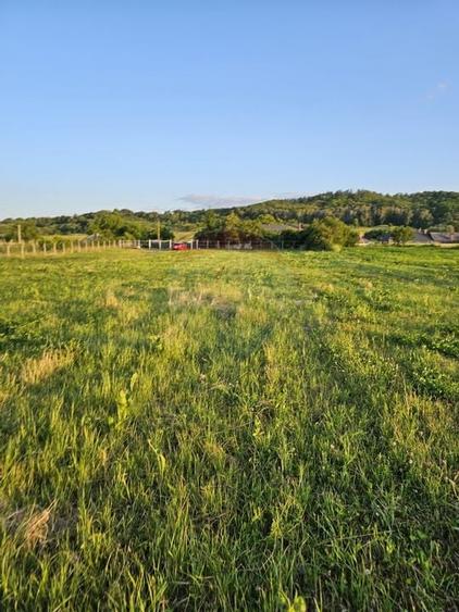 Teren 1,495mp Dobreni / Strada Parau Almas - 28