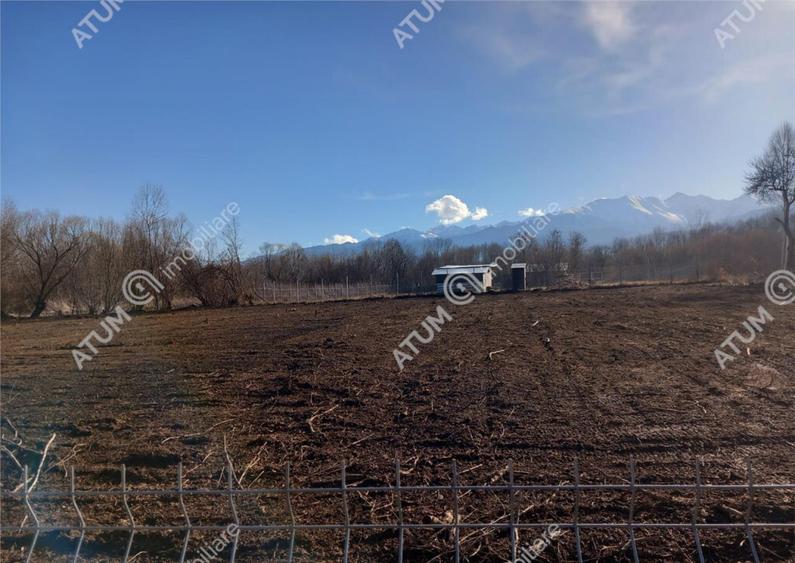 Teren intravilan de 1900 mp in Avrig zona Valea Avrigului - 3