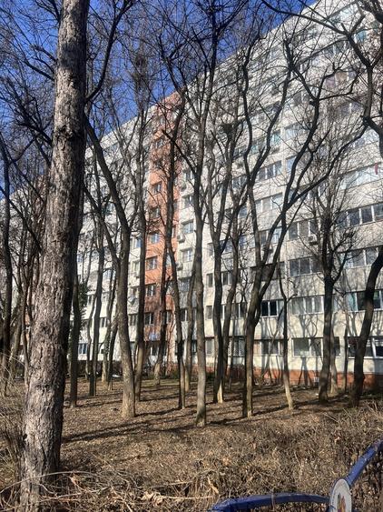 Alexandru Obregia - 1