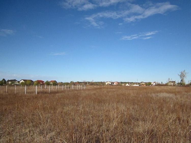 Teghes-Caragea Voda - 5