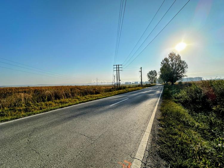 Vanzare teren 10.000mp Calea Surii Mici, direct de la proprietar!