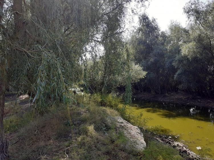 OCAZIE:Teren intravilan Tulcea-19euro/m.p. - 8