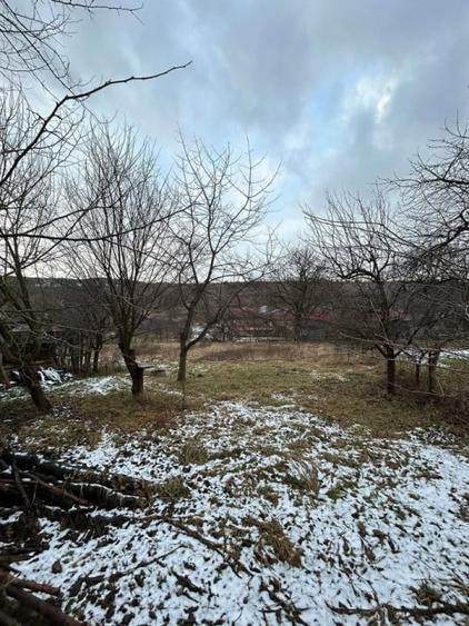 Casa veche in Suceagu cu teren 1715 mp2 - 3