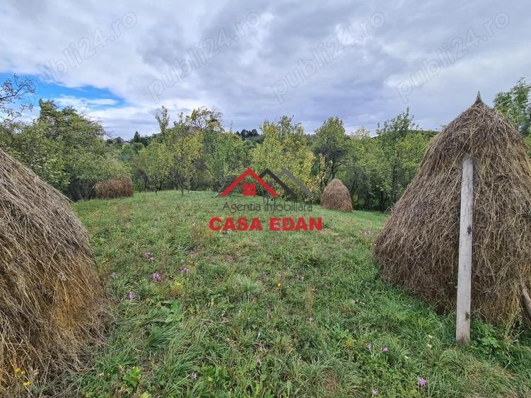 Teren intravilan in Sotrile--1671m--13e - 2