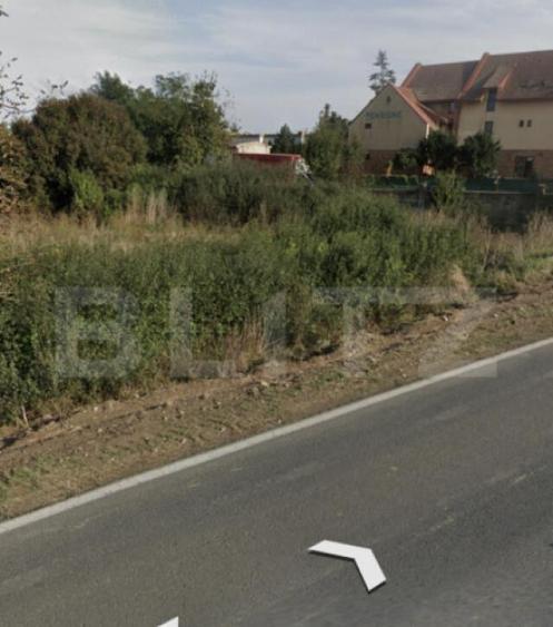 Teren intravilan 2492 mp, Bucovat - 5