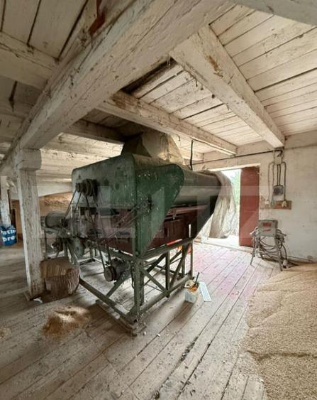 Ferma de Vanzare in judetul Timis, la nord est de Timisoara, - 1