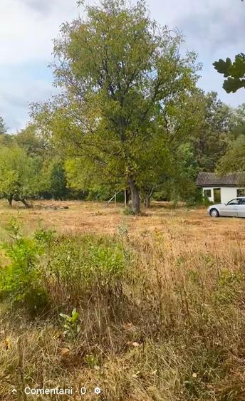 Teren de vanzare zona de munte - 4