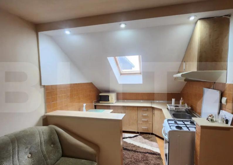 Apartament 1 camera, zona Valeria Peter Predescu - 7