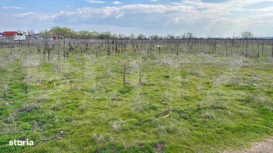 Teren extravilan, 1323 mp, zona Cernele - 4
