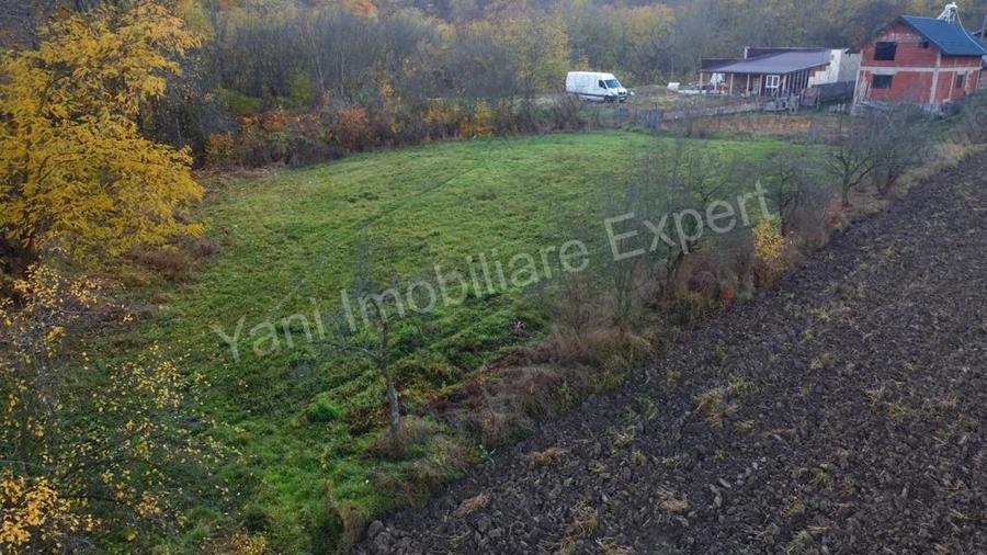 Teren de vanzare in comuna Meri?ani, sat Valcelele, jude? Arge?. - 11