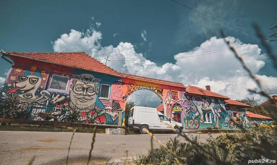 Casa, camping ?i 1 hectar in parcul na?ional Retezat - 3