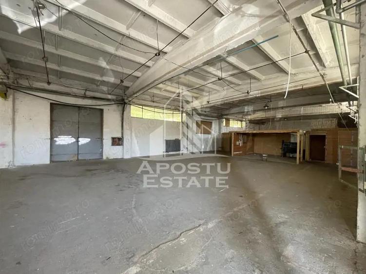 Hala depozitare sau productie cu rampa beton, 280 mp, Zona Buziasului - 3