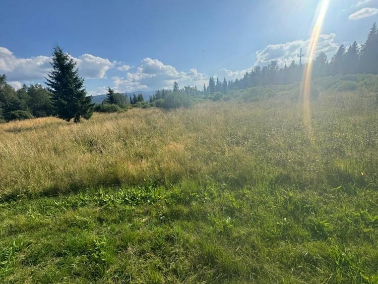 12700 mp investitie rezidențială- turistică- medicală Tinovul Mic/Șaru Dornei - 10