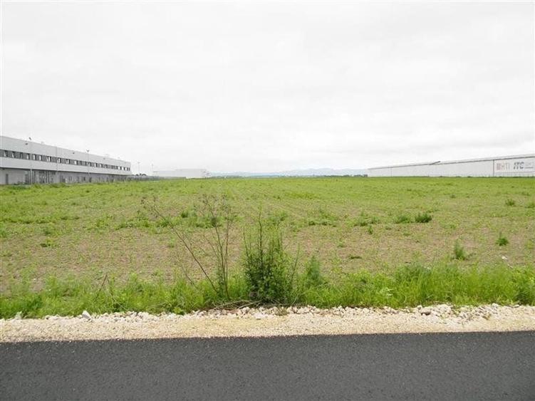 Teren pentru hale-Ghimbav-Joysonquin - 5