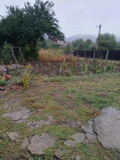 Oportunitate in Saschiz! Casa 67mp + construc?ie secundara | 4 ari teren | Poten?ial extindere - 2